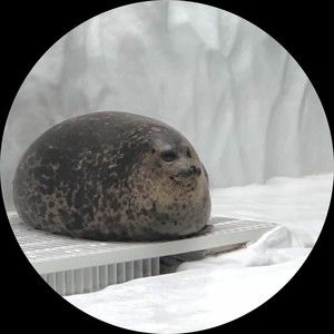 Meet your Posher, Claire